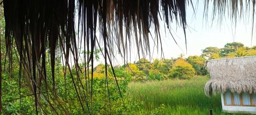 a building with a straw roof and a field of grass at El Viejo del Mar in San Bernardo del Viento