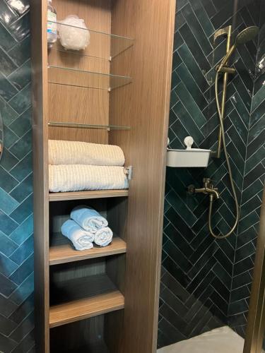 La salle de bains est pourvue d'un placard en bois et de serviettes. dans l'établissement Olympie, airport, train and tram station Fully equipped for 3 peoples, à Nice