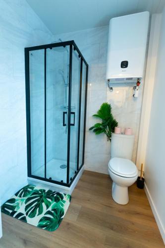 une salle de bain avec toilettes et douche en verre dans l'établissement A 100 M DE LA VIELLE VILLE, PROCHE REMPARTS, cosy holiday, à Boulogne-sur-Mer