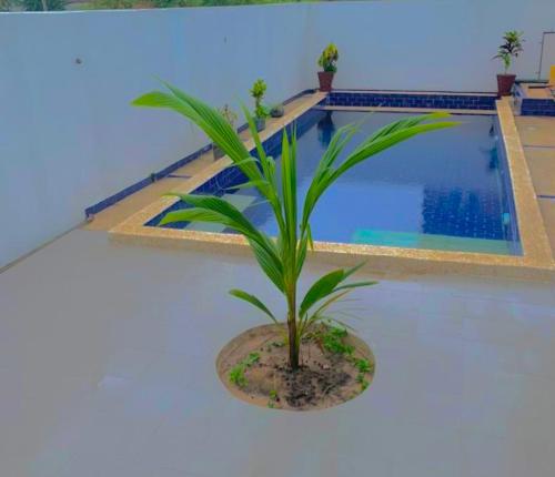 PontoにあるChez Ramaのギャラリーの写真