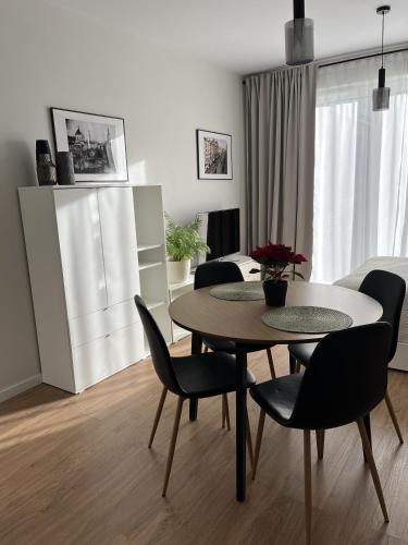 Metro Art Scandic Studio