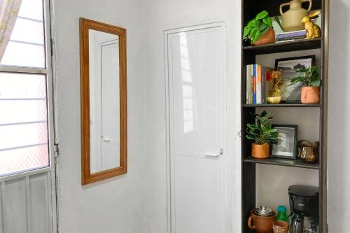 a door with a mirror and a shelf with plants at Habitación acogedora in Oaxaca City