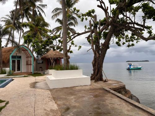 a house by the water with a tree at MAI LAKU Cottage in Sekotong