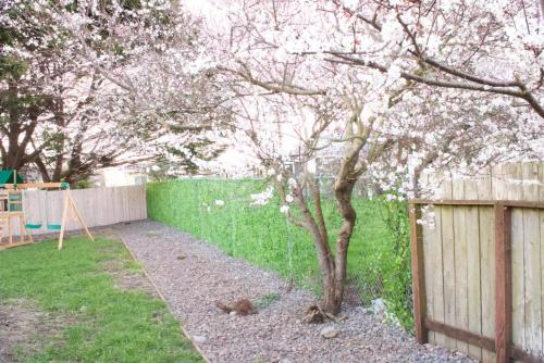 a tree in a yard next to a fence at Private Home - Playground, Jumping Mat, BBQ, Darts, Firepit, Gazebo, 4 Smart TVs, White Cotton Bedding, - The Redwood Cul-De Sac Beach Retreat in Crescent City