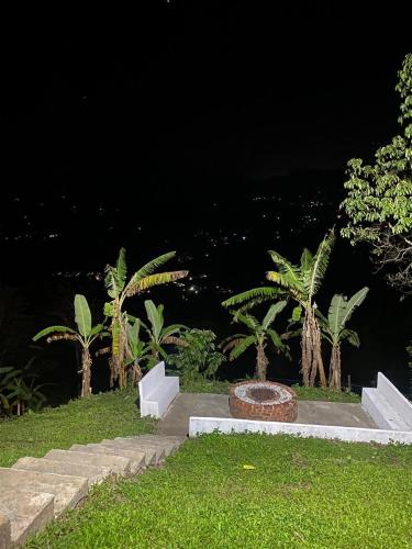 a park at night with palm trees and a bench at Finca Bellavista in Villeta