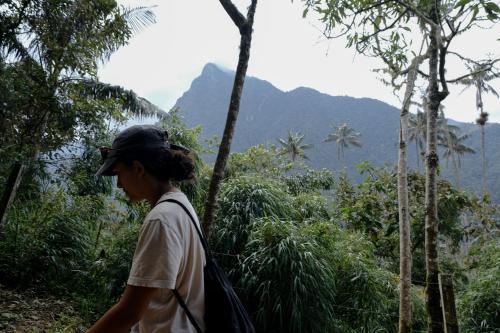 a woman walking in the forest looking at the mountains at BINDI in Salento