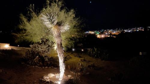 Eine Palme leuchtet nachts in der Unterkunft Private Home - Heated Saltwater Pool, BBQ, Pro Pool Table, Horseshoes, Darts, Cotton Bedding, Half Acre - The Joshua Tree Forest - Pool Heat Optional in Twentynine Palms