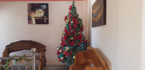 Φωτογραφία από το άλμπουμ του Queenslander Hotel and Restaurant σε Alaminos