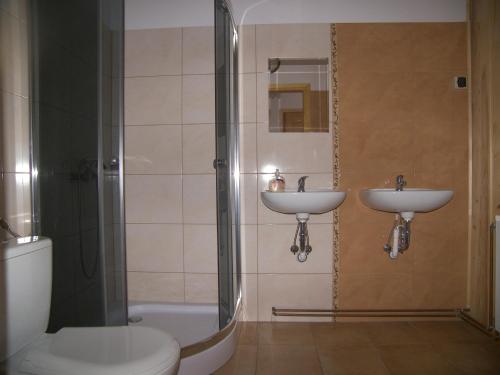 a bathroom with a toilet and a sink and a shower at Winnica Spisz in Łapsze Niżne