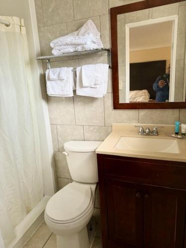 a bathroom with a toilet and a sink and a mirror at Gratiot View Motel in Saginaw