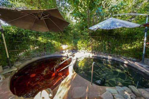 an overhead view of a swimming pool with an umbrella at 云南丽水云泉大酒店 in Kunming