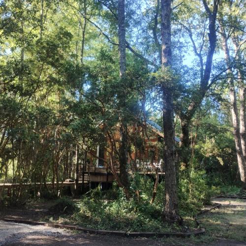 a cabin in the woods with trees at Cabaña en molco,entre Villarrica y Pucón in Molco