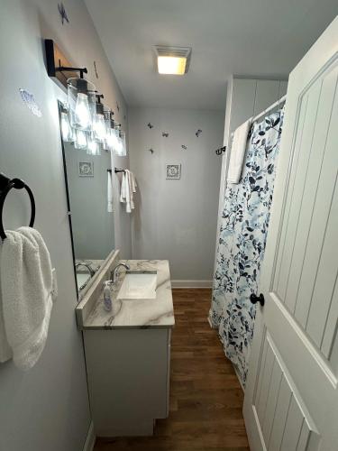 a bathroom with a sink and a mirror and a shower at Crafty on Hoyt- Renovated Craftsman 15 mins from Downtown in Chattanooga