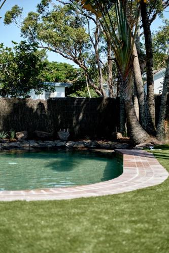 a pool of water with a palm tree in a yard at Chalet Motel Brunswick Heads in Brunswick Heads