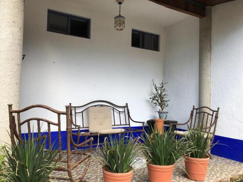 Imagen de la galería de El Encino, en Tepoztlán