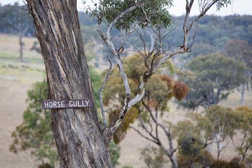 a sign on the side of a tree at Luxury Riverside Glamping Tents - Adults Only Retreat in Capertee