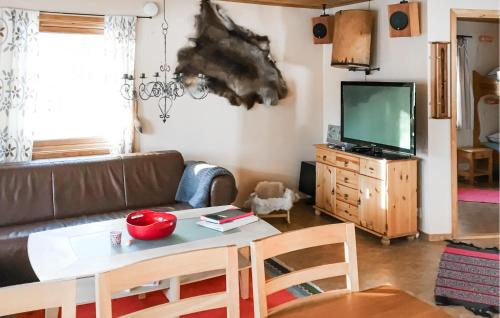 Μια τηλεόραση ή/και κέντρο ψυχαγωγίας στο Amazing Apartment In Idre With Sauna