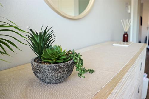 a potted plant sitting on top of a counter at Luxe Newly Renovated 2 Bed Unit - WALK TO BEACH in Wollongong