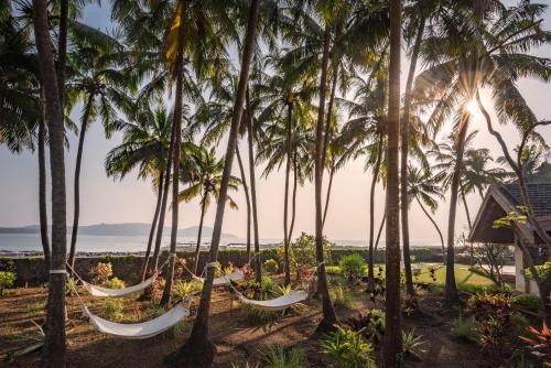 a group of hammocks hanging from palm trees at SaffronStays Sea Sparkle in Adi