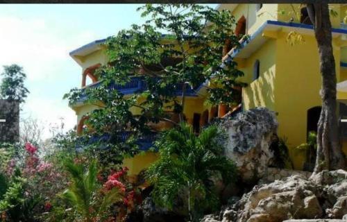 a yellow building with plants on the side of it at Hayley's Paradise Limited in Little Bay