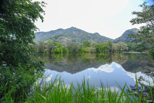 a view of a lake with mountains in the background at Mango Garden Dambulla in Dambulla