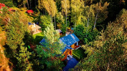 an aerial view of a house in the trees at Winiec Family Houses in Winiec