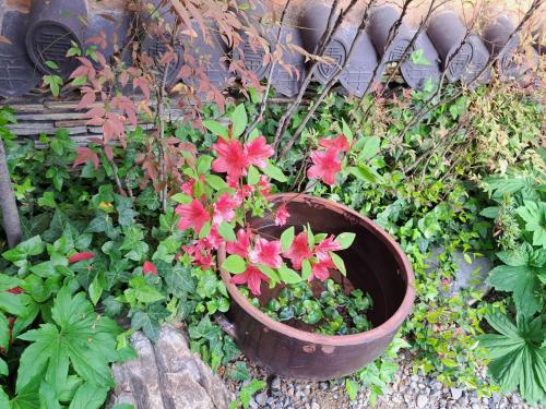 Soseoljae Guesthouse Gyeongjuにある庭