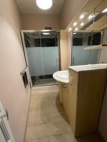 a bathroom with a shower and a sink and a toilet at Au Forum, Hypercentre Reims in Reims