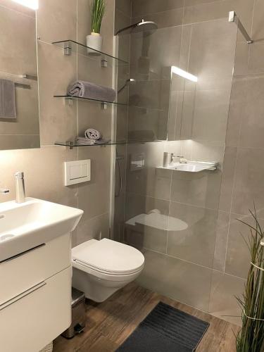 a bathroom with a toilet and a glass shower at San Remo by Fewotessin in Brissago