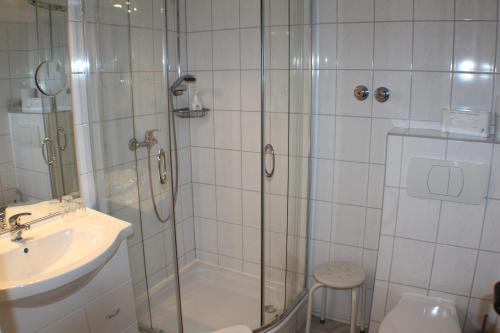 La salle de bains est pourvue d'une douche, d'un lavabo et de toilettes. dans l'établissement Landhotel Combecher, à Neukirchen