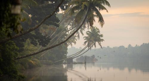 a boat on a river with palm trees on the shore at Cranganor History Café & Riverside Château in Parūr