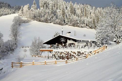 Το CHALET KITZBICHL by Alpin Charme Apartments τον χειμώνα