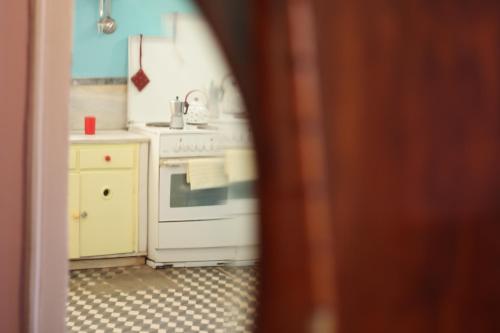 Kuchyň nebo kuchyňský kout v ubytování Kyra Vintage House