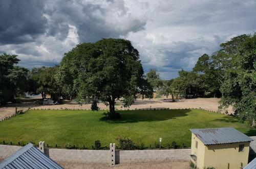a large green field with a tree and a fence at Riverside Recreation Lodge in Katima Mulilo