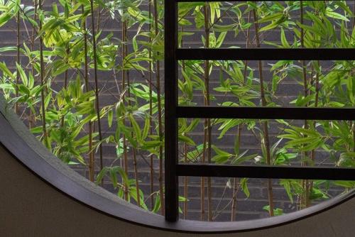 a window with a view of a plant at Hoshiga Pool Villa in Yeongcheon