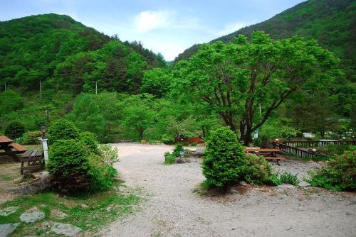 平昌郡にあるSmall Village Pensionのベンチと木と山のある公園