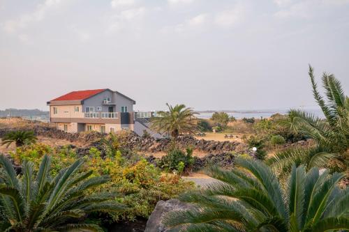 a house on top of a hill with palm trees at Jeju Amor House Oceanview Oreum in Jeju