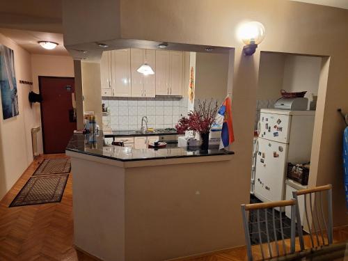 Köök või kööginurk majutusasutuses NOBLES APARTMENT 4****