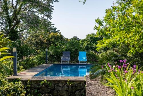 Bazén v ubytování Jeju Color in Jeju Pension nebo v jeho okolí