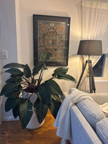 Ein Bett oder Betten in einem Zimmer der Unterkunft Travellers Retreat Bayview