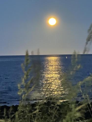 a view of the ocean with the sun in the sky at Devonport Breeze Escape in Devonport
