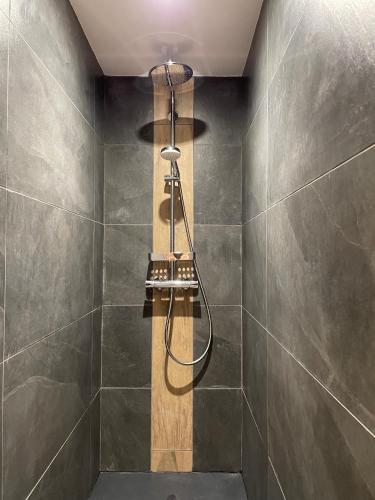 une douche avec pommeau de douche dans une salle de bain dans l'établissement Le gîte cozy de Bouvacôte avec vue panoramique et Sauna, à Le Tholy
