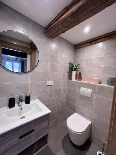 une salle de bain avec un lavabo, des toilettes et un miroir dans l'établissement Appartement 1769, à Kintzheim