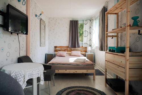 a bedroom with a bed and a tv and a window at Pilwa 17 - Glamping na Łące in Węgorzewo