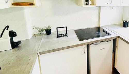 une cuisine avec un comptoir et un évier dans l'établissement Appartements Charenton Paris centre, à Paris