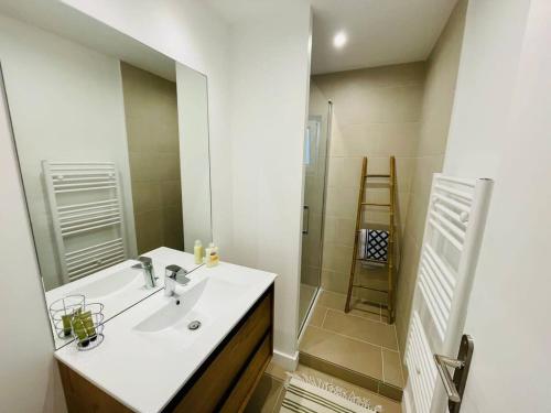 une salle de bain avec un lavabo et une douche avec un miroir dans l'établissement Le Cordeliers Confort - Parking Wifi, à La Rochelle