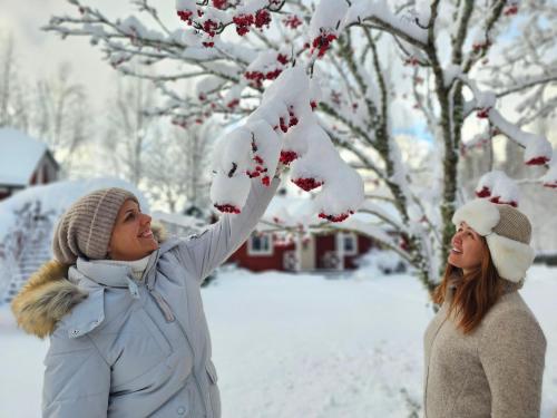 Ảnh trong thư viện ảnh của Klaara-Manni Holiday Center ở Tori