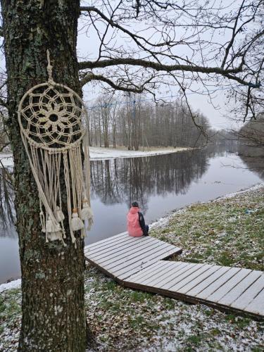 a person sitting on a dock next to a tree at Soomaa Puhkeküla in Riisa
