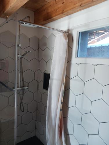 - un rideau de douche dans la salle de bains pourvue d'une fenêtre dans l'établissement Jolie maison à Biscarrosse zéro six soixante treize soixante huit vingt six 02, à Biscarrosse