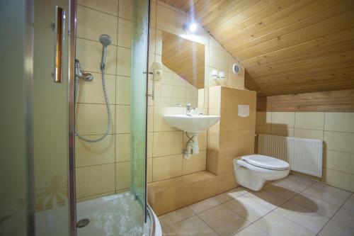 a bathroom with a shower and a toilet and a sink at Apartamenty Nova Dolina in Wisła